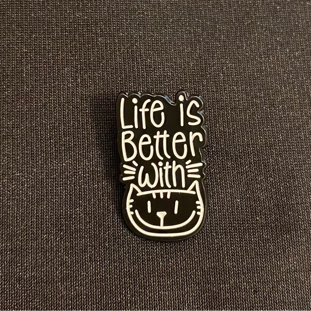 Enamel pin or magnet states the plain truth 3/$18